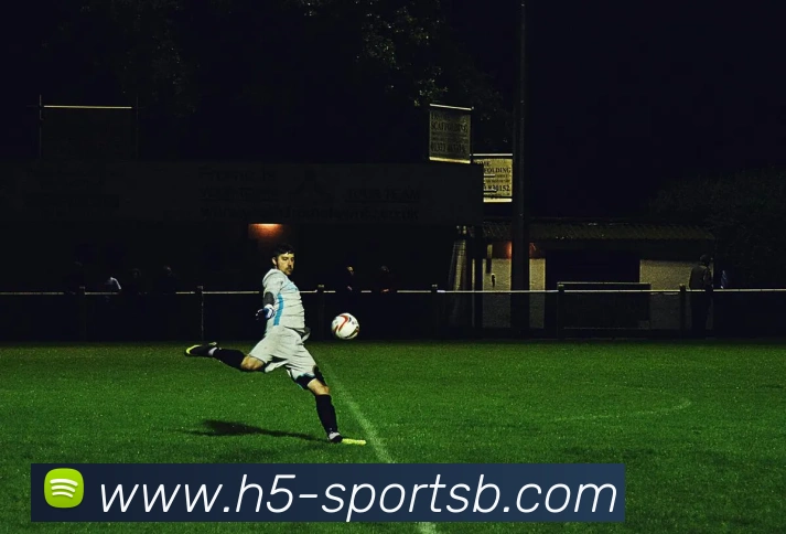 B体育平台生态图